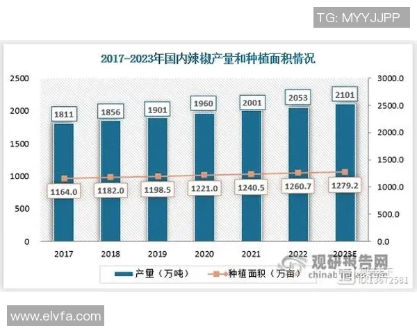 杭州排球队在联合会杯中的实力展现与未来发展潜力分析 杭州排球队在联合会杯中的实力展现与未来发展潜力分析