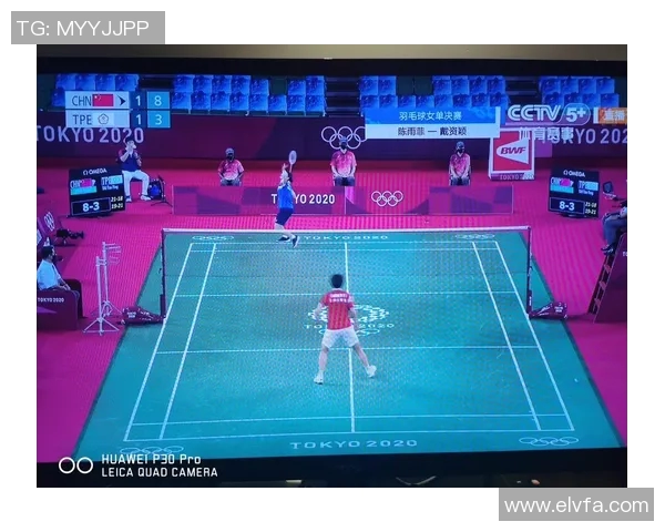 南京羽毛球队在锦标赛中的战术表现分析与点评探讨 南京羽毛球队在锦标赛中的战术表现分析与点评探讨