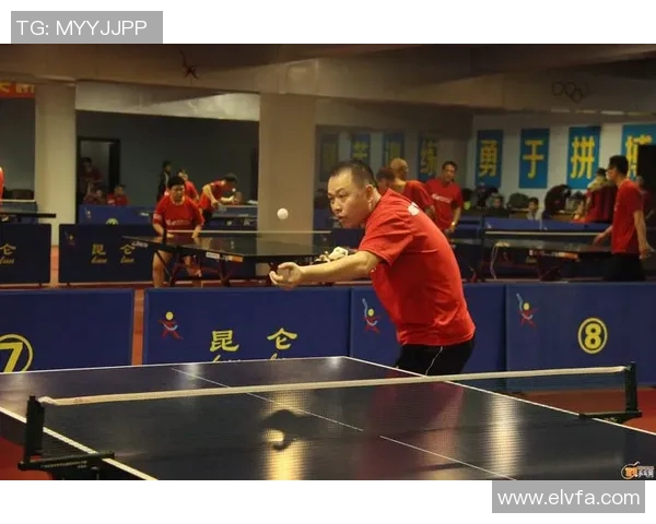 杭州乒乓球队在精英赛中的比赛经验与表现分析