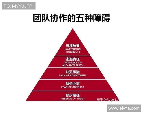深圳排球队的意识提升与团队协作探讨聚焦排球运动的未来发展