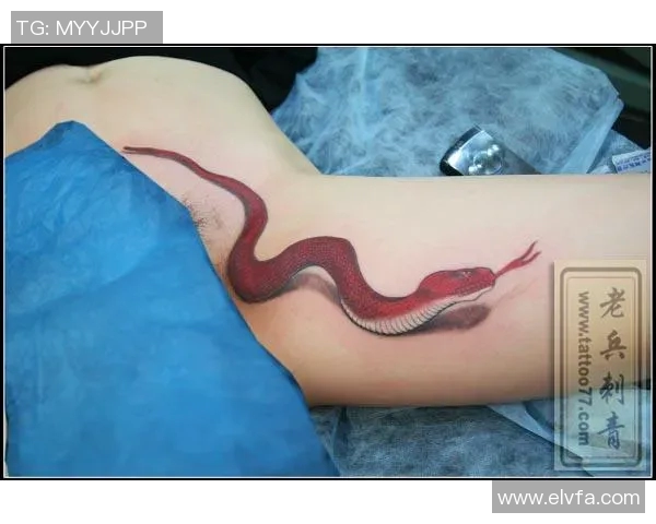 足球明星独特蛇纹身高清大赏展现个性与魅力