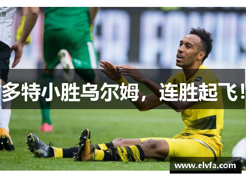 多特小胜乌尔姆，连胜起飞！
