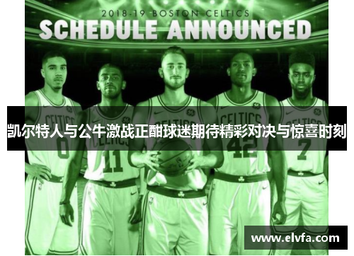 凯尔特人与公牛激战正酣球迷期待精彩对决与惊喜时刻