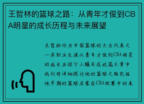 王哲林的篮球之路：从青年才俊到CBA明星的成长历程与未来展望